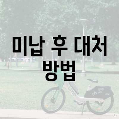 미납 후 대처 방법