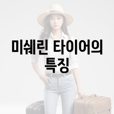 미쉐린 타이어의 특징