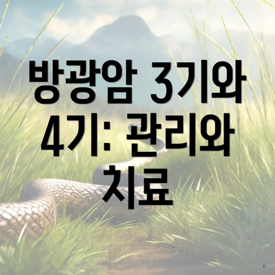 방광암 3기와 4기: 관리와 치료