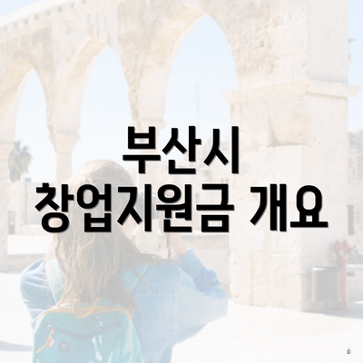 부산시 창업지원금 개요