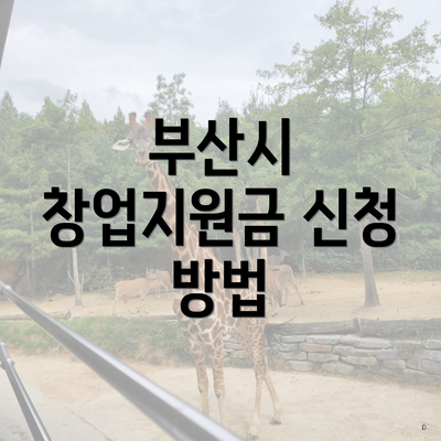 부산시 창업지원금 신청 방법
