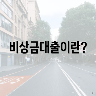 비상금대출이란?