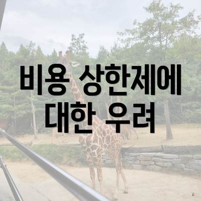 비용 상한제에 대한 우려