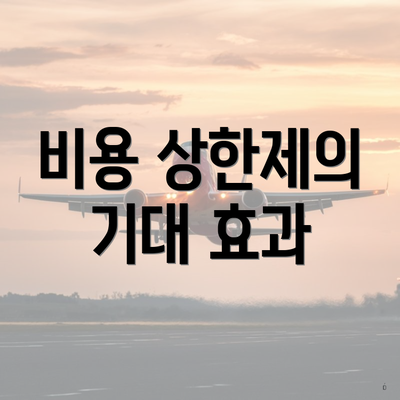 비용 상한제의 기대 효과