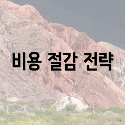 비용 절감 전략