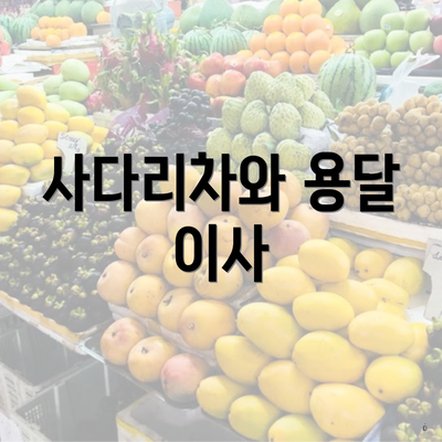 사다리차와 용달 이사