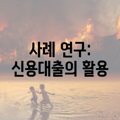 사례 연구: 신용대출의 활용