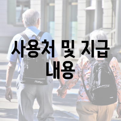 사용처 및 지급 내용