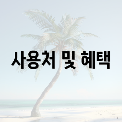 사용처 및 혜택
