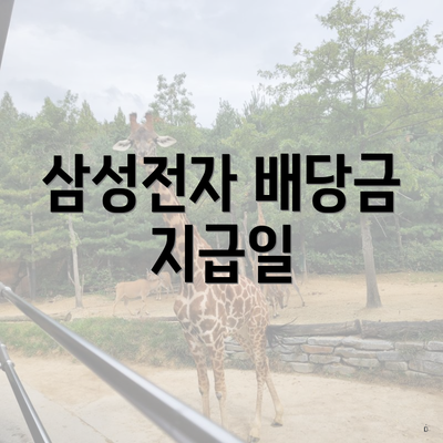 삼성전자 배당금 지급일