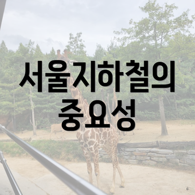 서울지하철의 중요성