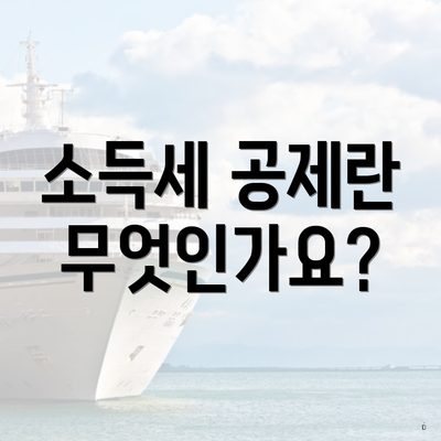 소득세 공제란 무엇인가요?