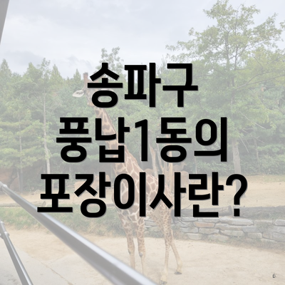 송파구 풍납1동의 포장이사란?
