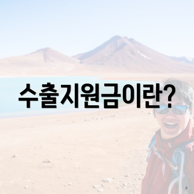수출지원금이란?