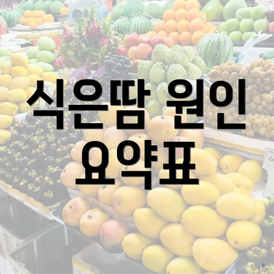 식은땀 원인 요약표
