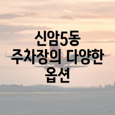 신암5동 주차장의 다양한 옵션