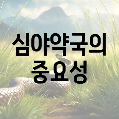 심야약국의 중요성