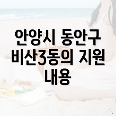 안양시 동안구 비산3동의 지원 내용