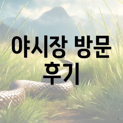 야시장 방문 후기