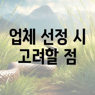 업체 선정 시 고려할 점