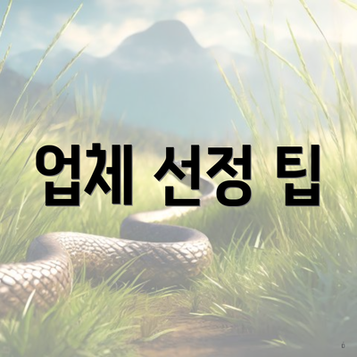 업체 선정 팁