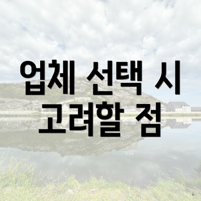 업체 선택 시 고려할 점
