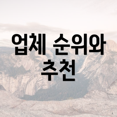 업체 순위와 추천