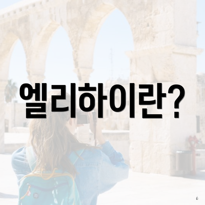엘리하이란?