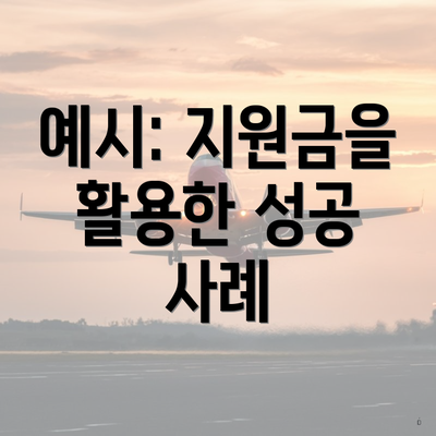 예시: 지원금을 활용한 성공 사례