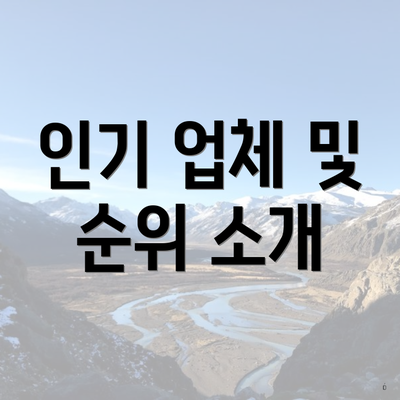 인기 업체 및 순위 소개