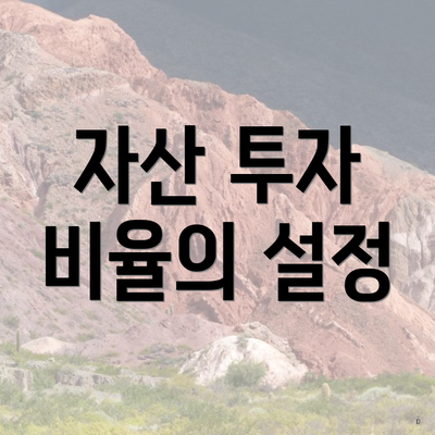 자산 투자 비율의 설정