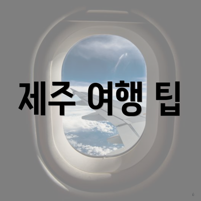 제주 여행 팁