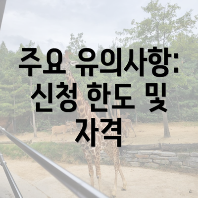 주요 유의사항: 신청 한도 및 자격