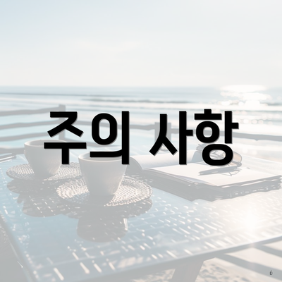 주의 사항