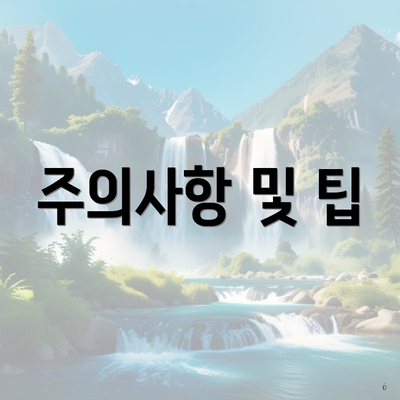 주의사항 및 팁