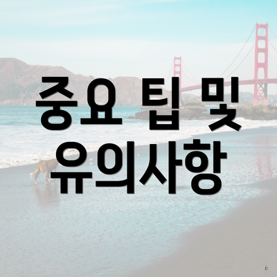 중요 팁 및 유의사항