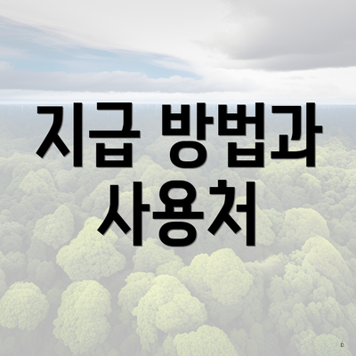 지급 방법과 사용처