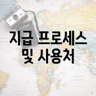 지급 프로세스 및 사용처