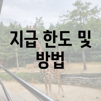 지급 한도 및 방법