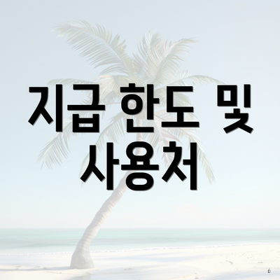 지급 한도 및 사용처