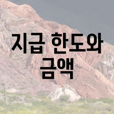 지급 한도와 금액