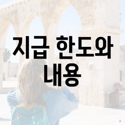 지급 한도와 내용