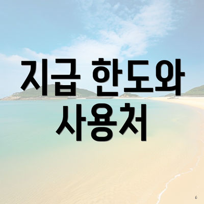 지급 한도와 사용처