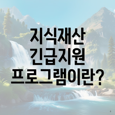 지식재산 긴급지원 프로그램이란?