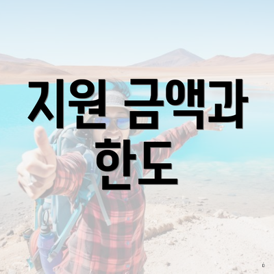 지원 금액과 한도