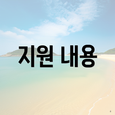 지원 내용