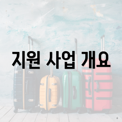 지원 사업 개요