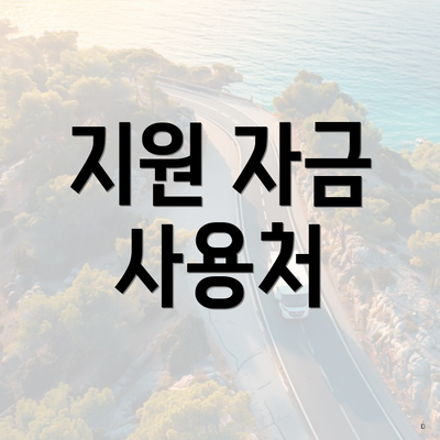 지원 자금 사용처