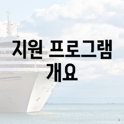 지원 프로그램 개요