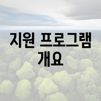 지원 프로그램 개요